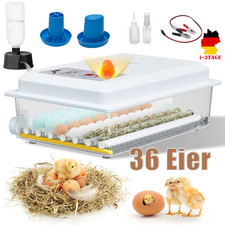 Inkubator Brutkasten