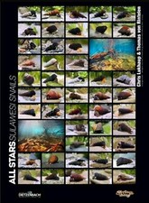 Aquaristik Poster Schnecken Sammlung Nano Garnelen Fische Pflanzen Aquarium