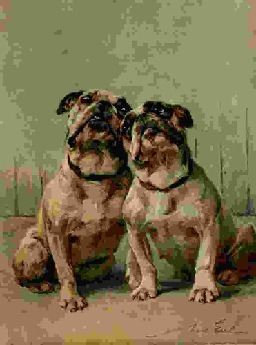 Foto graf maud 1864 1943 - foto,