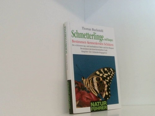 Schmetterlinge und raupen - schmetterlinge,