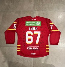 DEG Düsseldorfer EG Fan