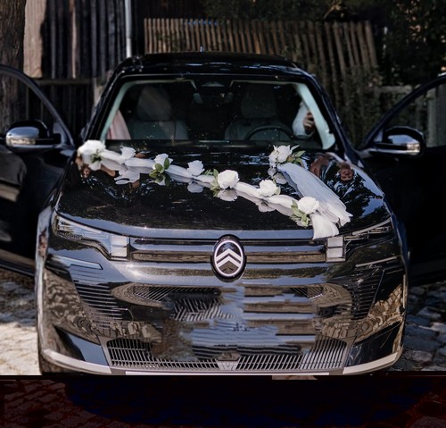 Autoschmuck hochzeit weiße - autoschmuck,
