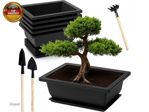 Stück bonsai schale - bonsai,