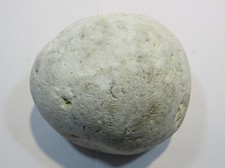 S228 XL weißer großer Klapperstein Flint Kreide +Schwamm Normandie 10cm 775g rar