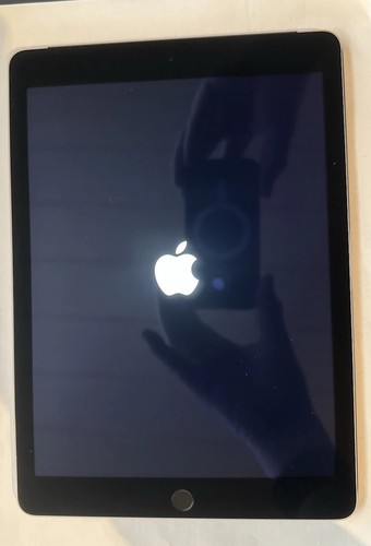 Apple ipad air - apple,