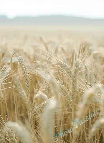 Foto art skandinavisch - a4,