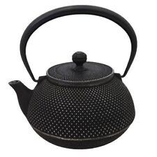 japanische Guss-Eisenkanne