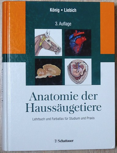 König liebich anatomie der - könig/liebich:,