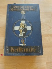 Praktischer Hausschatz der Heilkunde - Paul Bergmann