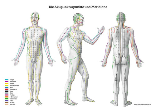 Lernposter die - -,
