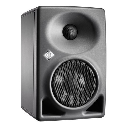 Neumann dsp aktiver - neumann,