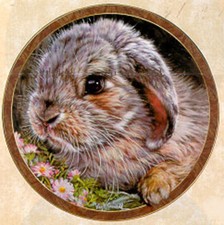 Bunny Tales Sammlung, von Vivi