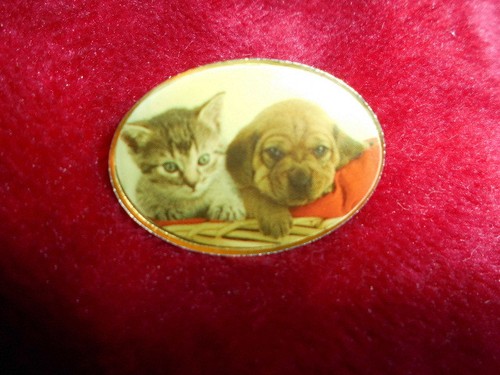 Brosche mit katze hundmotiv - brosche,