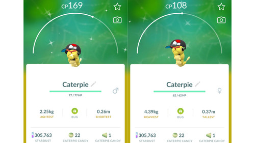 Shiny caterpie schillernd - 🐛shiny, (schillernd