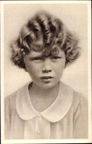 Prinz albert von - prinz, liege