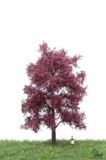 MBR MODELLBAUM - ROTBUCHE