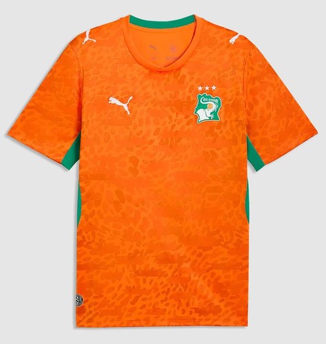 Puma fif elfenbeinküste - puma,