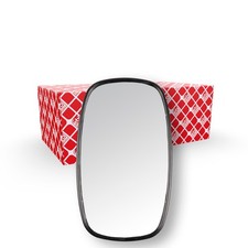 Febi Bilstein Außenspiegel