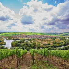 Schwarzach Franken Weinland
