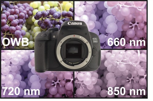 Canon eos 700d - canon,