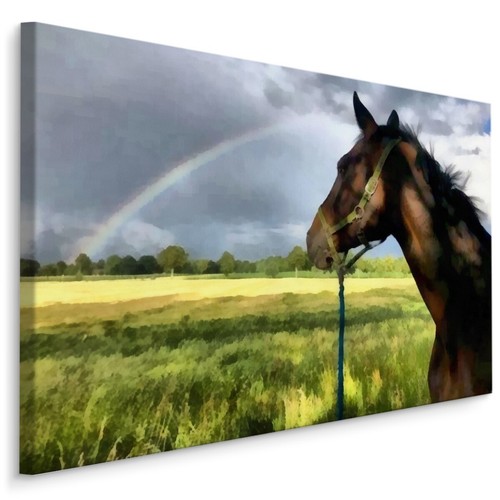 Canvas leinwand bilder - leinwand, xxl