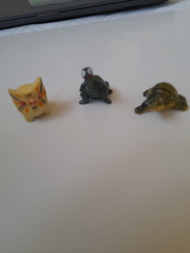 Alte schildkröten - alte,