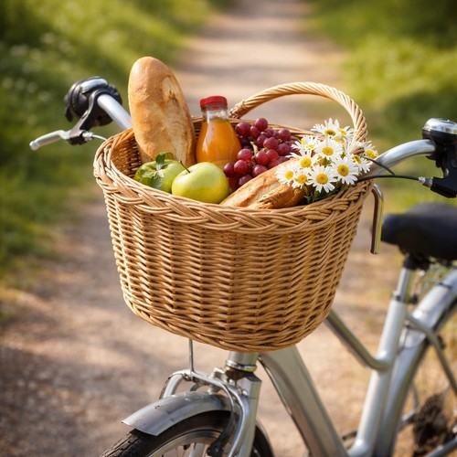 Fahrradkorb Universal Weiden