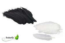 50 Gänsefedern 15cm - 20cm Dekofedern Bastelfedern Vogelfedern Gänse Federn Deko