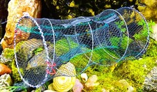 Köderfischreuse Aalreuse Krebsreuse Fischreuse mit Futterfach XXl gummierts Netz