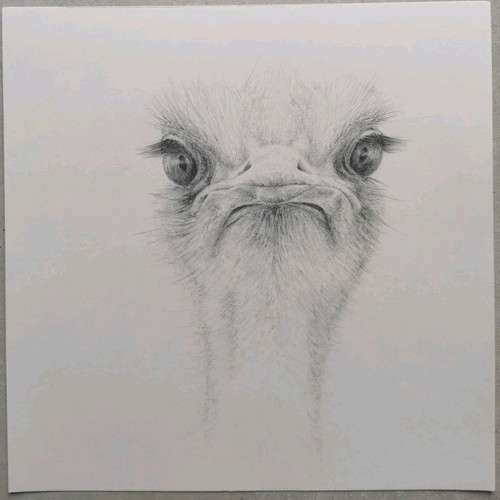 Original graphit zeichnung - original,
