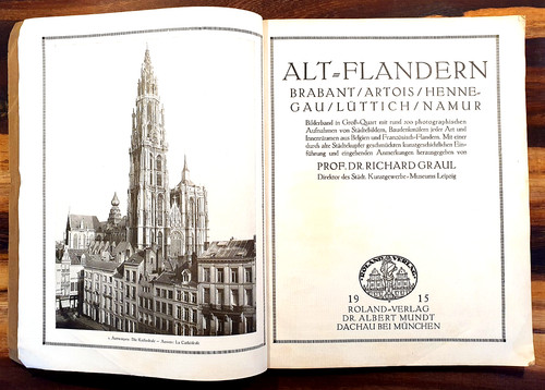 Alt flandern prof - prof., dr