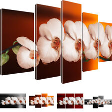Blumen Wandbilder Orchidee Bilder auf Leinwand Farbe & Größe wählbar