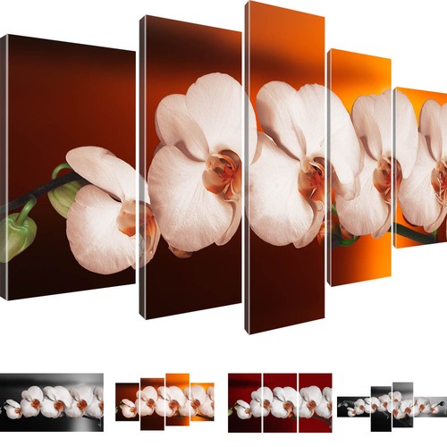 Blumen wandbilder orchidee - blumen,