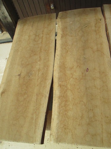 Eichenholz urige - x,