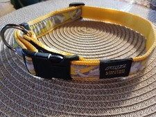 Hundehalsband 2,5 cm breit