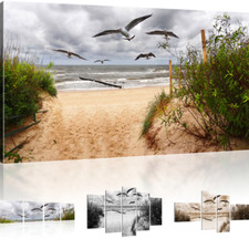Bild auf Leinwand Strand