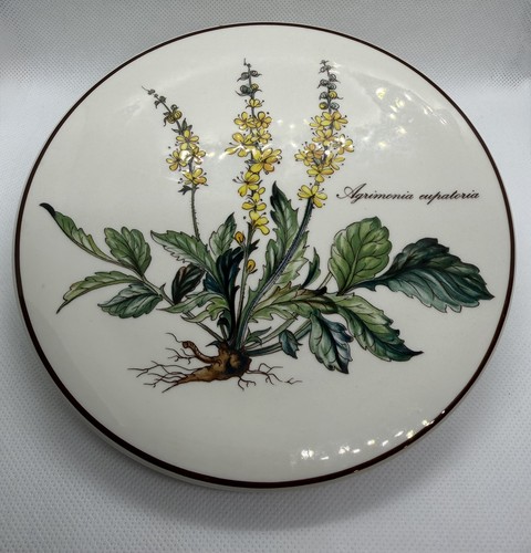Villeroy boch botanica - &,