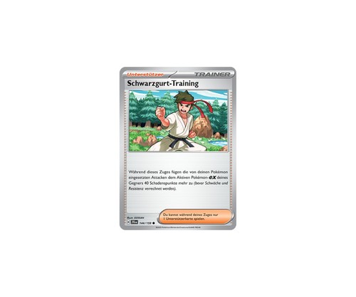 Pokemon-Reisegefährten-