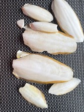 Sepia-Schalen-Bruch 200 Gramm