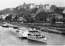 Pirna AK Elbe-Dampfer "Wilhelm
