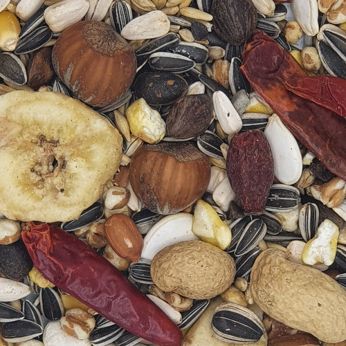 Versele papageien exotic nut - versele,