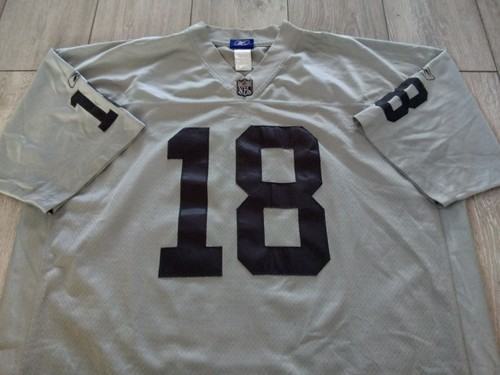 Las vegas raiders nfl - nfl, grey