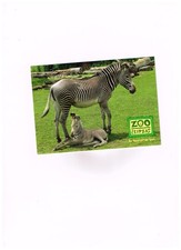 ANSICHTSKARTE- FOTOKARTE- ZOO LEIPZIG