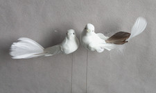 12 weiße Tauben mit Drahtpick