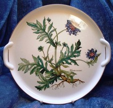 Villeroy & Boch BOTANICA - 1 Kuchenplatte mit Handhaben