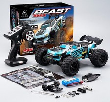 RC Auto 80 km/h Brushless 4WD