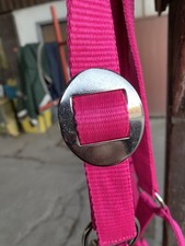 Halfter mit Strick Gr. Cob