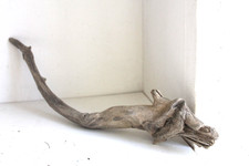 Schwemmholz Treibholz Skulptur