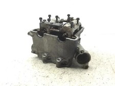 Kopf Head Kein Bäume A Nocken