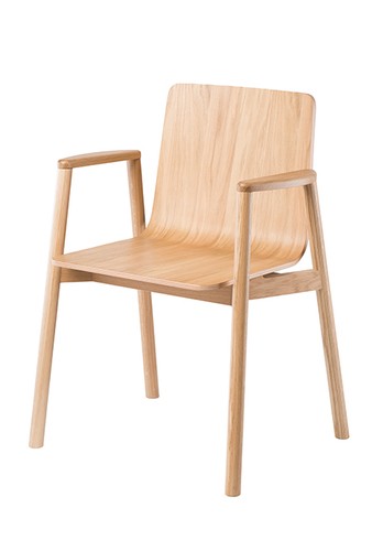 Fameg sessel designer - sessel,